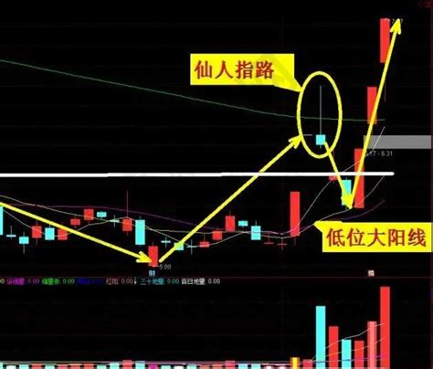 仙人指路.png