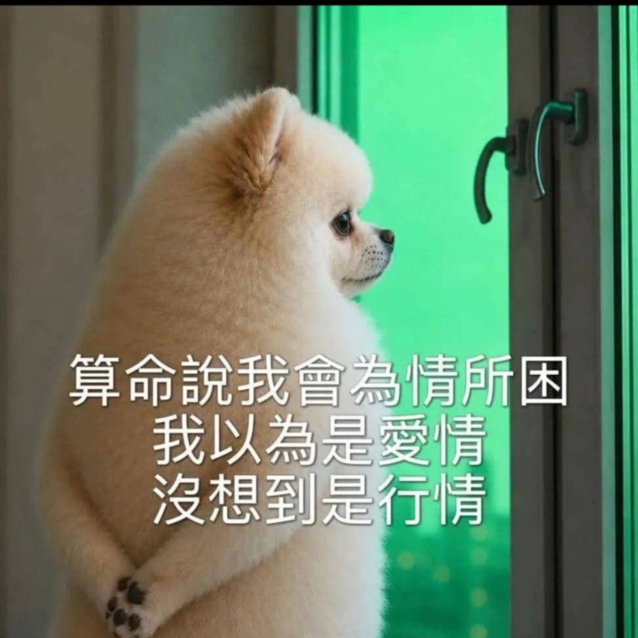2026-07-23_為情所困迷因圖：以為愛情沒想到是行情.jpg